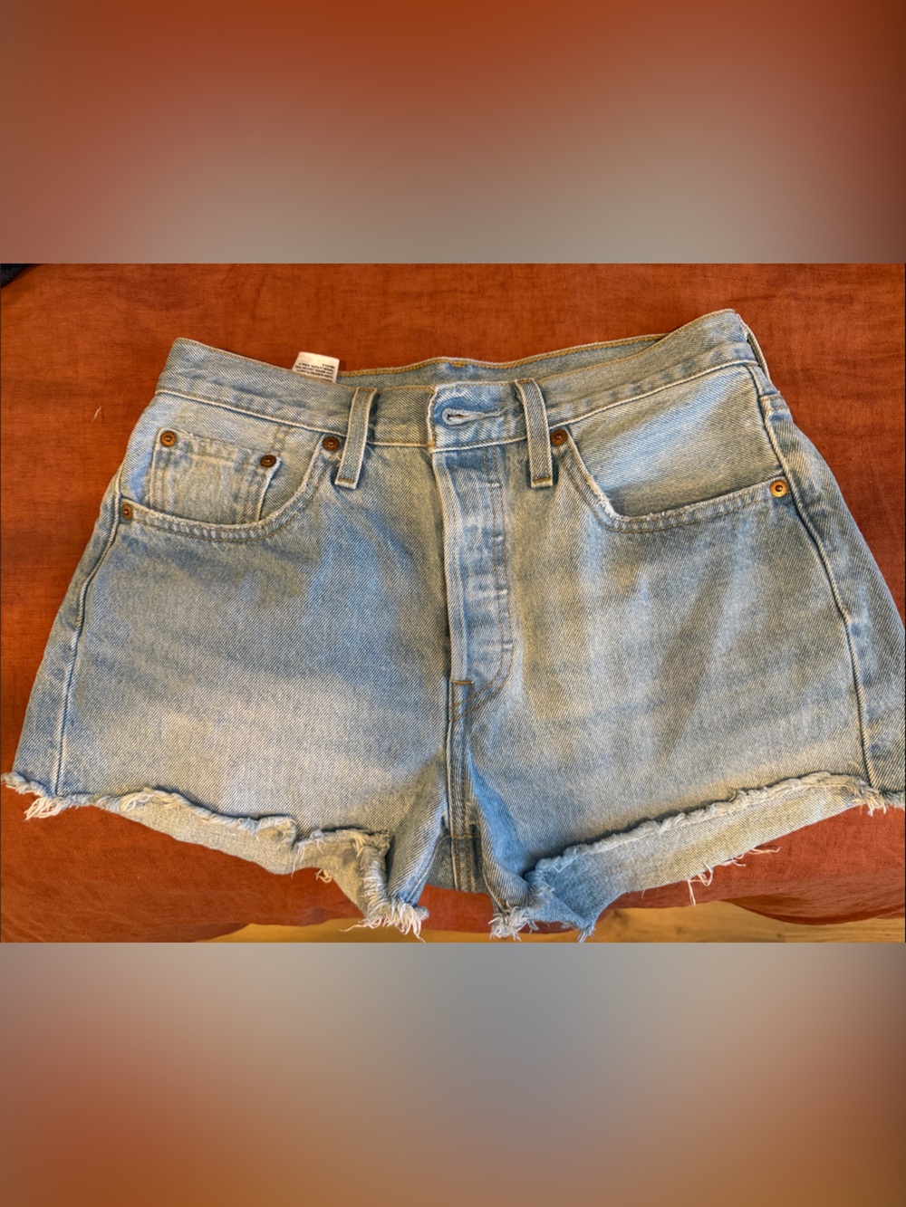Levi's 501 Light Blue Denim Cutoff Jean Shorts